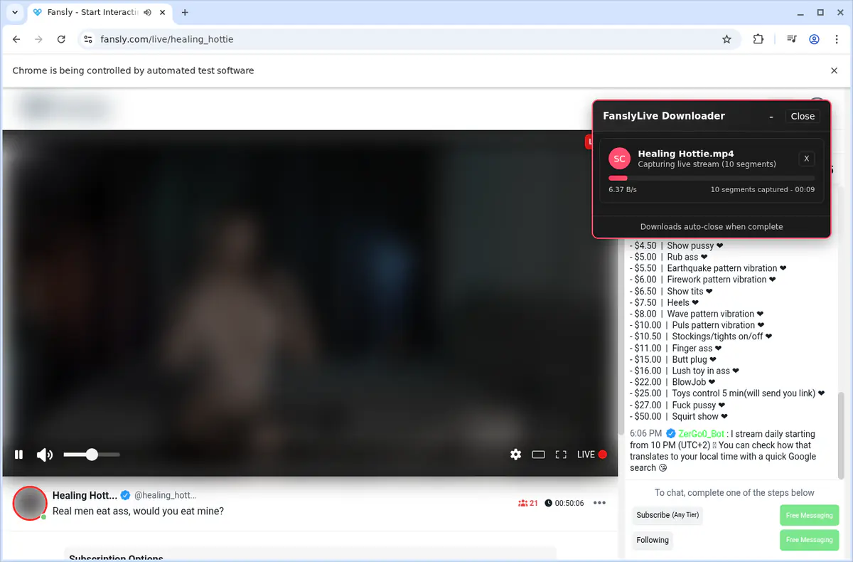 Fanslylive Video Downloader browser extension screenshot 3