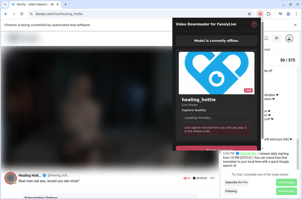 Fanslylive Video Downloader browser extension screenshot 5