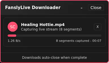 Fanslylive Video Downloader browser extension screenshot 6